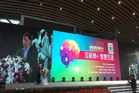2015中国（合肥）互联网大会圆满成功