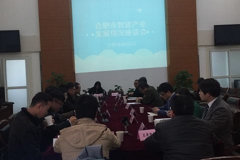 合肥市智能产业发展情况座谈会