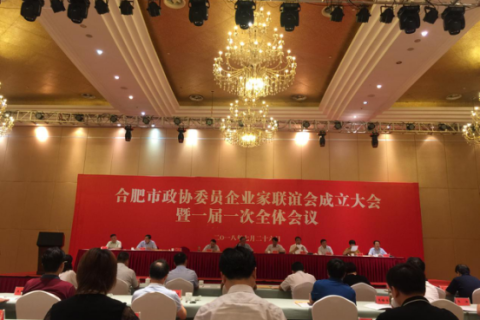 祝贺合肥市政协委员企业家联谊会成立