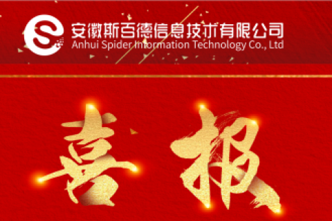 斯百德喜报|斯百德荣获“合肥市大数据企业”称号