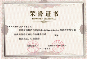 安徽省优秀著作权登记作品