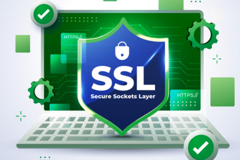 SSL证书怎么申请？SSL证书申请流程