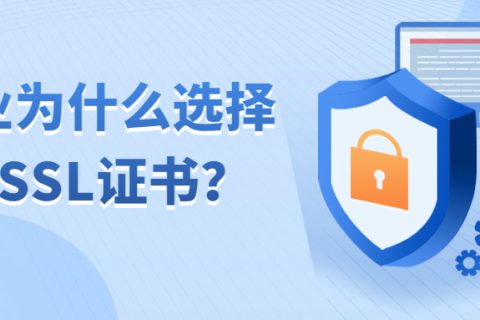 为什么选择OV SSL证书？OV SSL证书品牌推荐