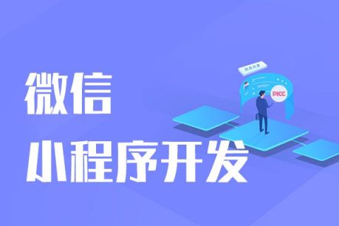 小程序定制开发