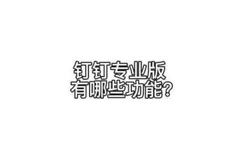 钉钉专业版的功能