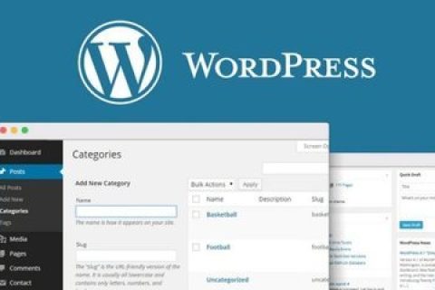 为什么会选择在WordPress建站