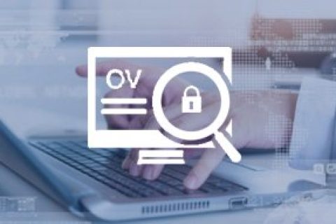 OV证书和DV证书哪个更适合企业选择