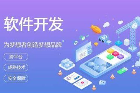 人工智能软件开发