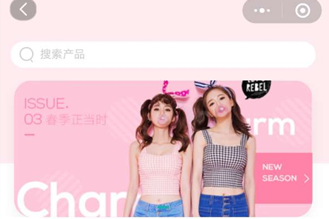 小程序开发案例