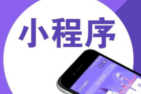 小程序开发语言