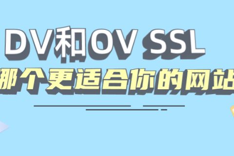 DV和OV SSL