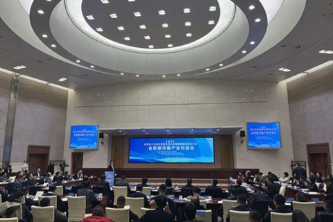 合肥都市圈产业对接会