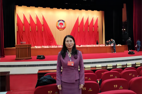 斯百德吴鑫坤出席市政协十五届三次会议