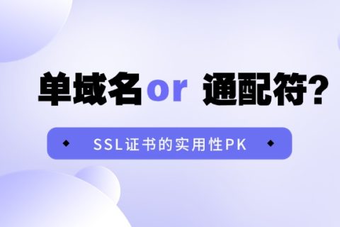 单域名和通配符