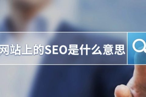 网站上的SEO是什么意思