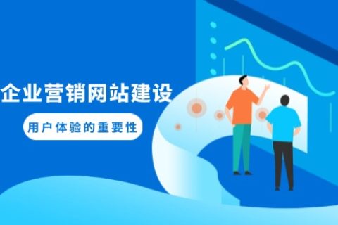 企业营销网站建设