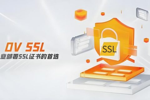 OV SSL证书