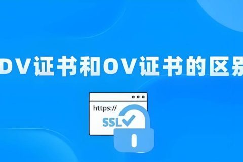 DV SSL证书
