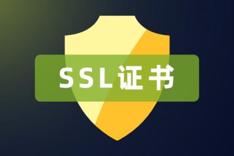 DV SSL证书申请