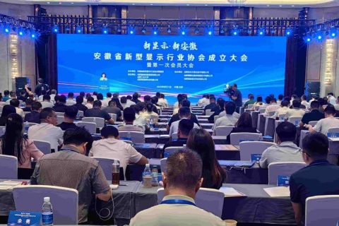 安徽省新型显示行业协会成立