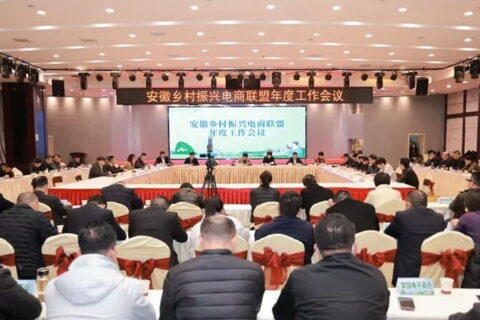 乡村振兴“智囊团”来了！安徽乡村振兴电商联盟智库成立