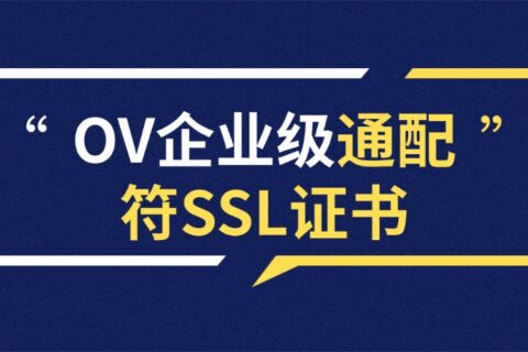 OV企业级通配符SSL证书