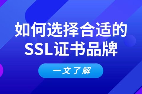 SSL证书品牌