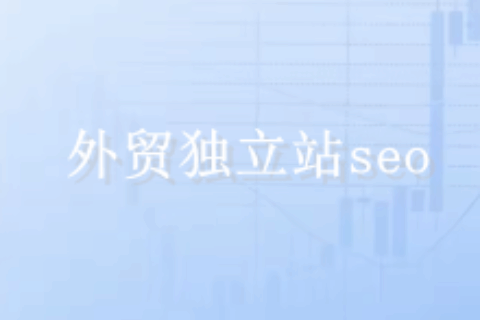 外贸独立站seo