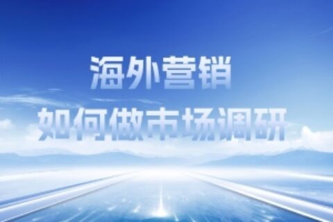 海外营销市场调研