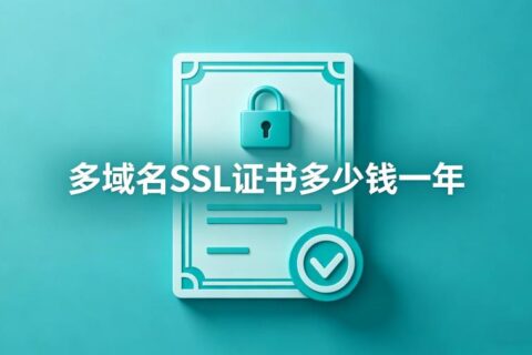 多域名SSL证书