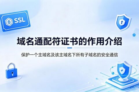 域名通配符证书