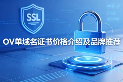 OV 单域名证书价格