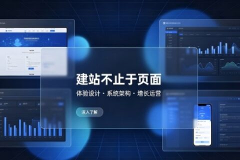网站开发