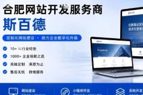 合肥网站开发服务商