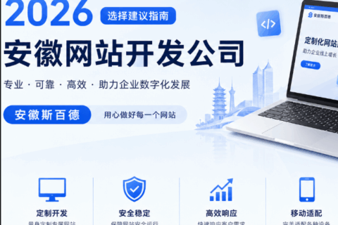 2026安徽网站开发公司选择建议指南